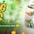 Spring Rolls Promotion at BetAt Casino this week &ndash; 13 March until 19 March 2017